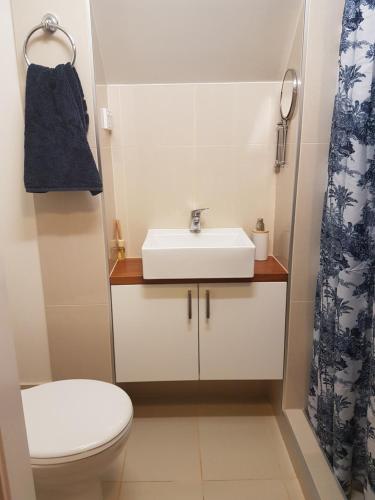 a bathroom with a sink and a toilet at Mountain Studio Escape in Mount Tamborine