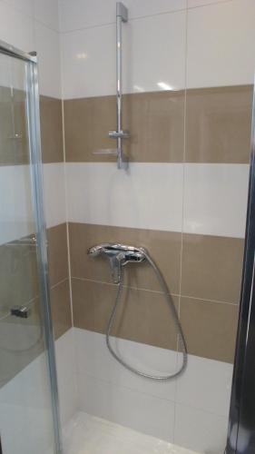La salle de bains est pourvue d'une douche avec un tuyau. dans l'établissement CHARMANT F1 bis atypique, à Gannat