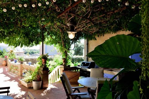 a patio with a table and chairs and plants at Can Sanllehí in Castelló d'Empúries