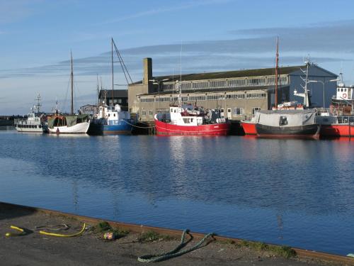 a group of boats are docked in a harbor at Fuglevænget in Hundested