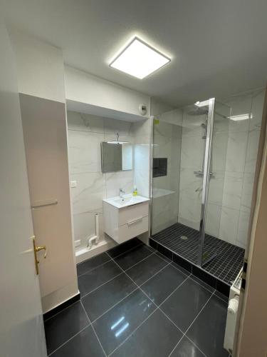 une salle de bain avec douche et lavabo dans l'établissement Sion City Mulhouse centre - parking et balcon-wifi 5G gratuit, à Mulhouse