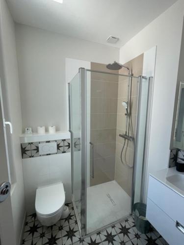 a bathroom with a shower and a toilet and a sink at Maison Latour in Cholet