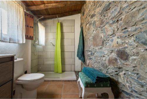 a bathroom with a toilet and a stone wall at Casa Agustín Pool 27 ºC in Fátaga