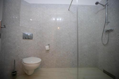 a bathroom with a toilet and a shower with a glass door at Regal Ballroom in Caransebeş