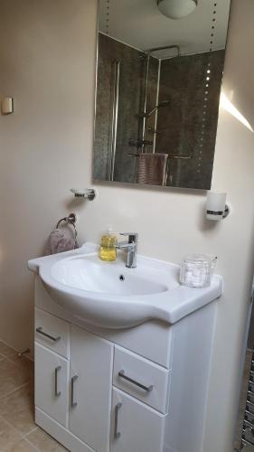 a bathroom with a white sink and a mirror at Liongate House in Ilchester