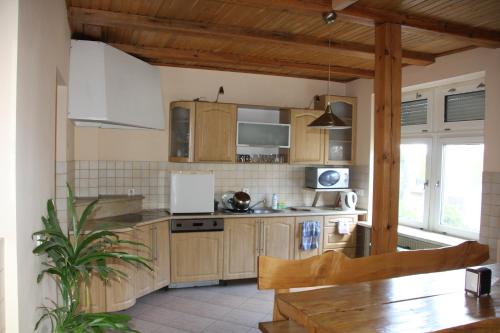 a kitchen with wooden cabinets and a table with a plant at Pensjonacik ELMI in Giżycko