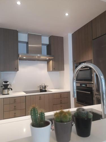 Dapur atau dapur kecil di Double View