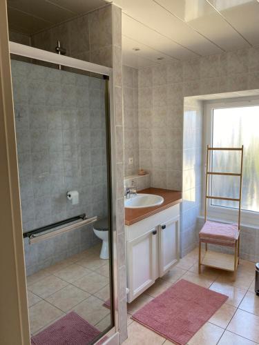 ein Bad mit einem Waschbecken, einem WC und einer Dusche in der Unterkunft Au Rythme des Vagues in Saint-Aubin-sur-Mer