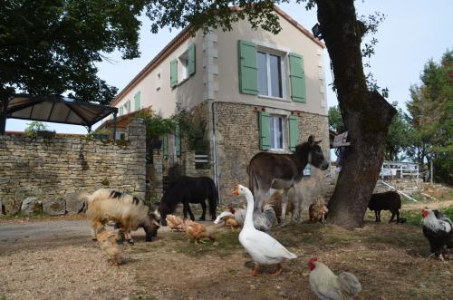 a group of animals standing in front of a house at La Ferme Des Vergnes in Gabillou