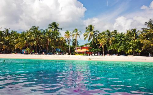 a view of a beach with palm trees and the water at Hotel Cocoplum Beach in San Andrés