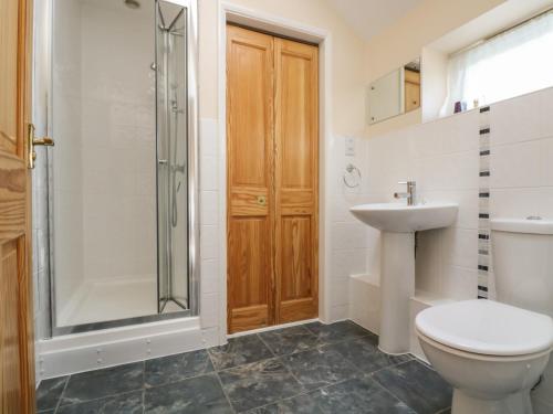a bathroom with a shower and a toilet and a sink at Mynheer Farm Barn in Redruth
