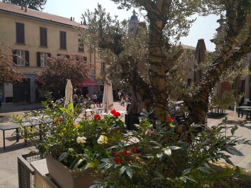 a group of flowers in a courtyard with a tree at Locanda San Paolo in Monza