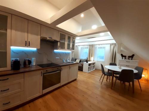Kuchyňa alebo kuchynka v ubytovaní Apartmány v centru - Lázně Kynžvart