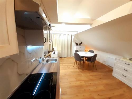 Kuchyňa alebo kuchynka v ubytovaní Apartmány v centru - Lázně Kynžvart