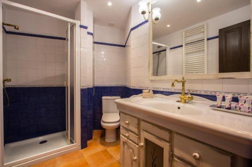 a bathroom with a sink and a shower and a toilet at La Casona de Aldealobos in Aldealobos