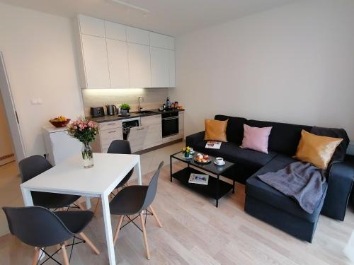 Kuchyň nebo kuchyňský kout v ubytování Prima Family Apartments