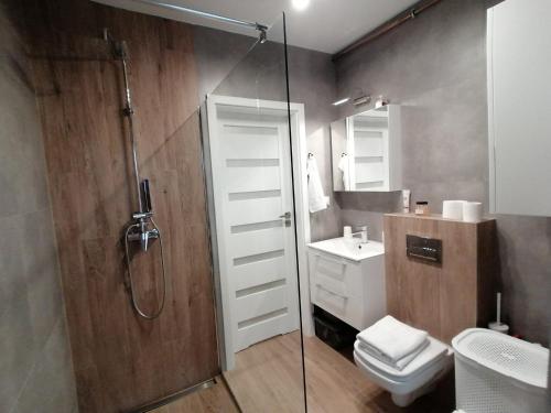 Kupatilo u objektu Apartament Nałęczowskie Wąwozy