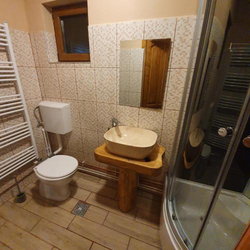a bathroom with a toilet and a sink and a shower at Casa tradițională Bilbor in Bilbor