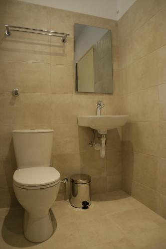 a bathroom with a toilet and a sink at Gardelis Gardens in Benitses