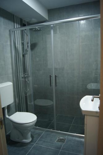 a bathroom with a shower with a toilet and a sink at Apartman Una in Sremski Karlovci