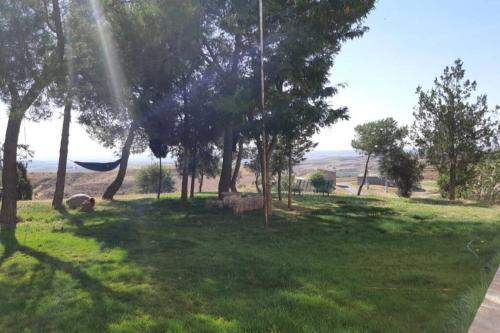 a park with trees and a hammock in the grass at Puerta Laguna - Casa con parcela in Hita