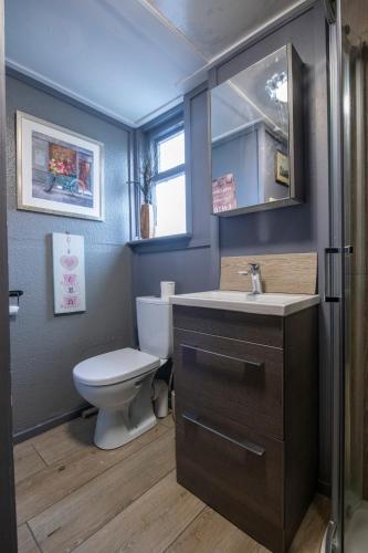 a bathroom with a toilet and a sink and a mirror at Georgian Loft Apartment in Dublin