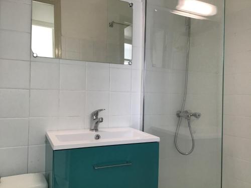une salle de bain avec un lavabo et une douche dans l'établissement Appartement st Pierre la mer, à Fleury