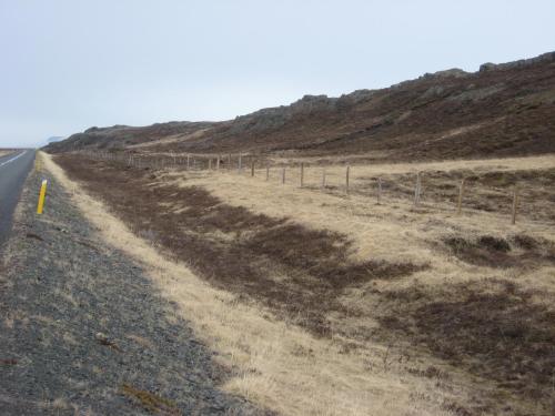 a road with a fence on the side of a hill at Ásbrandsstadir Cottages in Vopnafjörður