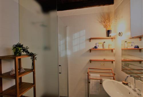 ein Bad mit einer Dusche und einem Waschbecken in der Unterkunft Al vecchio fienile in Fagagna