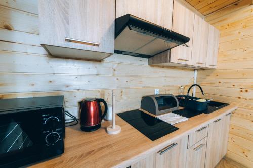 シュチルクにあるPolana Sucheのキッチン(電子レンジ、コンロ付きのカウンター付)