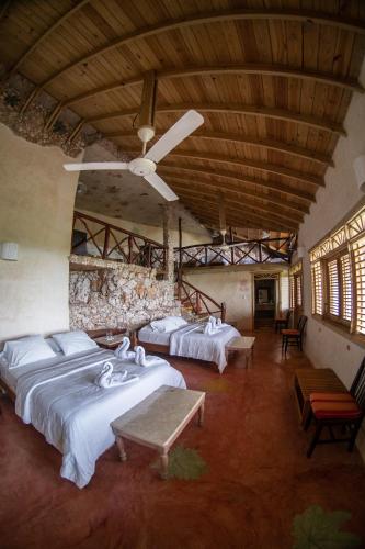 a group of four beds in a room with a ceiling at Paraiso Caño Hondo in Los Guineos Perdidos