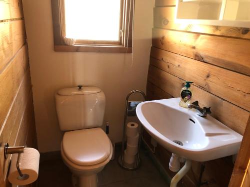 a small bathroom with a toilet and a sink at Three Rooms stuga i stugby near National Park in Undenäs