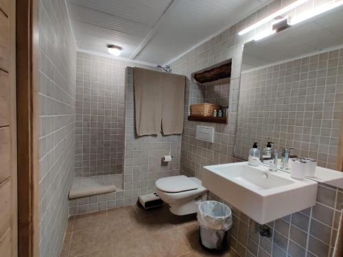 ein Bad mit einem Waschbecken, einem WC und einer Dusche in der Unterkunft Loft Apartamento Rural La Fresneda - Casa Vidal in La Fresneda
