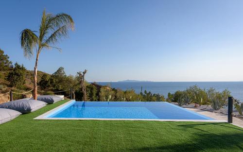 a swimming pool with a green lawn next to the ocean at Sounio Black Villa in Sounio