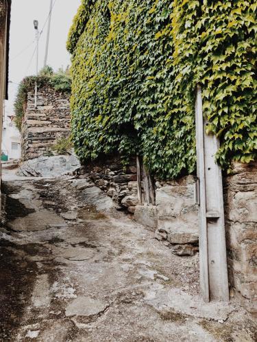 a stone wall with ivy on it next to a street at Casa do Douro in Alijó