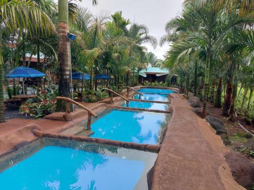 Gallery image of Hotel Palmera Real Hot Springs in Fortuna