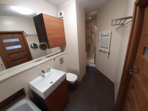 a bathroom with a sink and a toilet and a mirror at ParkView Apartment in Gdańsk