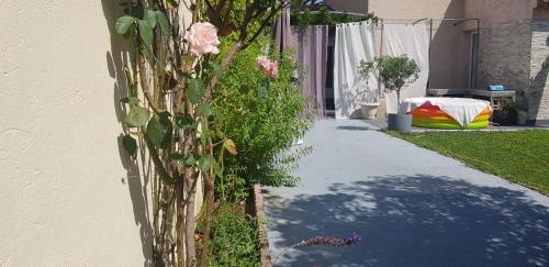 Un cactus avec des fleurs roses sur le côté d'une maison dans l'établissement Studio Provence, à Avignon