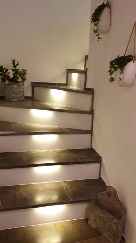 a staircase with lights and potted plants on it at Aghèl Luxury Room in Recanati