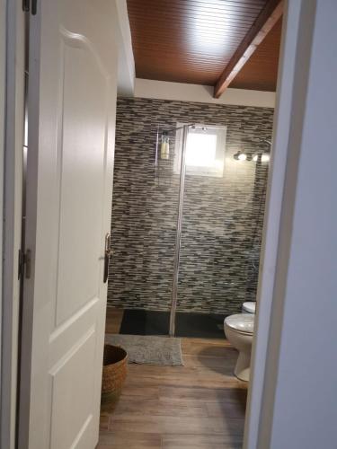 a bathroom with a shower and a toilet at Casa Adeyu in Tuineje