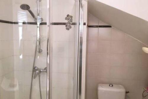 une salle de bain avec une douche avec des toilettes et un lavabo dans l'établissement Charmante Escale au Cœur du Panier près Vieux Port, à Marseille