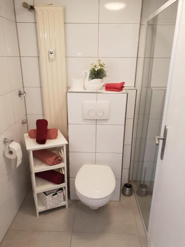 a small bathroom with a toilet and a shower at Ferienwohnung Unterstraße in Bad Neuenahr-Ahrweiler