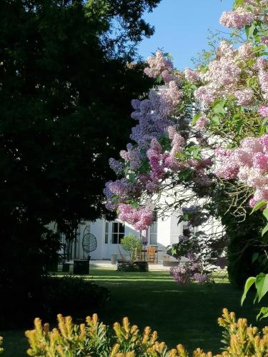 a house with a tree with purple flowers at H de Surgères in Surgères