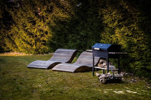 two chairs and a dog sitting in the grass at Gilė -'Virš Ąžuolų' - Forest SPA - Horses - Lake - Chalet in Paplatelė