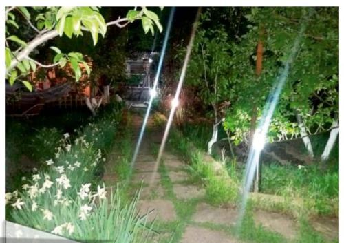 a view of a garden at night with lights at Our Village in Ashtarak