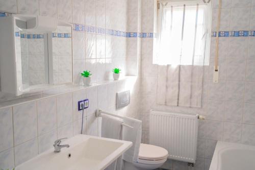 a white bathroom with a toilet and a sink at SUNNYHOME Monteurwohnungen und Apartments nahe Regensburg in Obertraubling