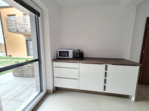 a kitchen with a counter with a microwave on it at Ubytování v soukromí Pasohlávky in Pasohlávky