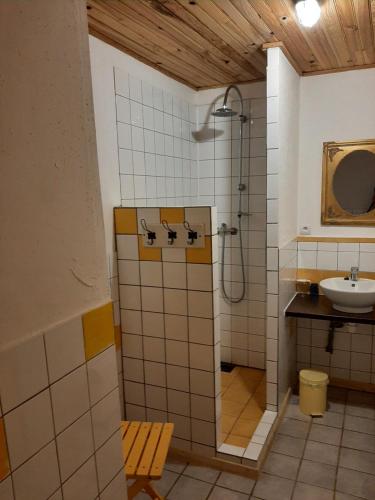 a bathroom with a sink and a shower in it at Le Marconnès in Saint-Arcons-de-Barges