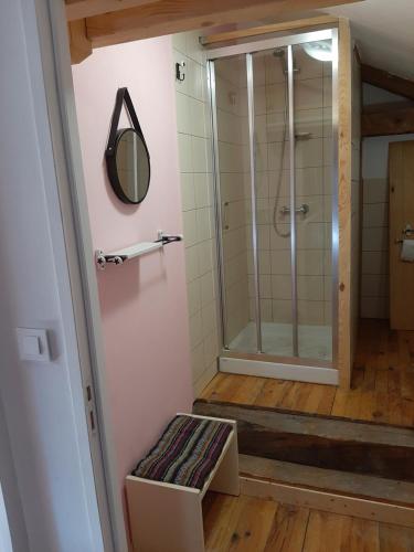 a walk in shower in a bathroom with a mirror at Le Marconnès in Saint-Arcons-de-Barges