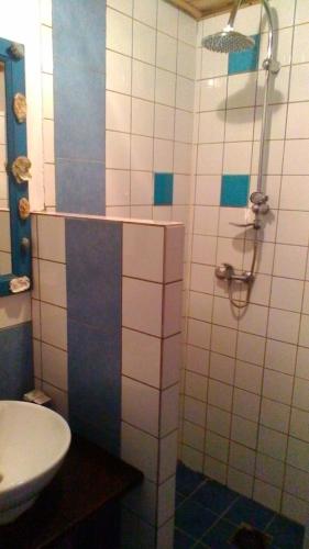 a bathroom with a shower and a sink at Le Marconnès in Saint-Arcons-de-Barges